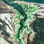 Above ground mapping of Mangroves (EOMAP) using