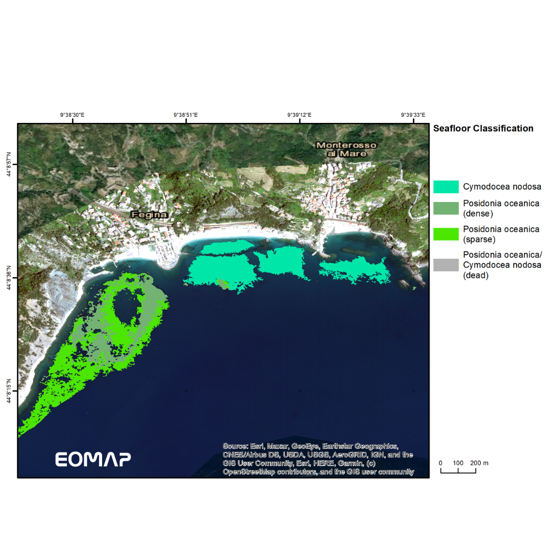 Satellite-based seagrass map of the Ligurian coast (Italy) by EOMAP