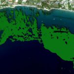 Seagrass habitat in Liguria (Italy) seen from space - seafloor classification (SFC) by EOMAP