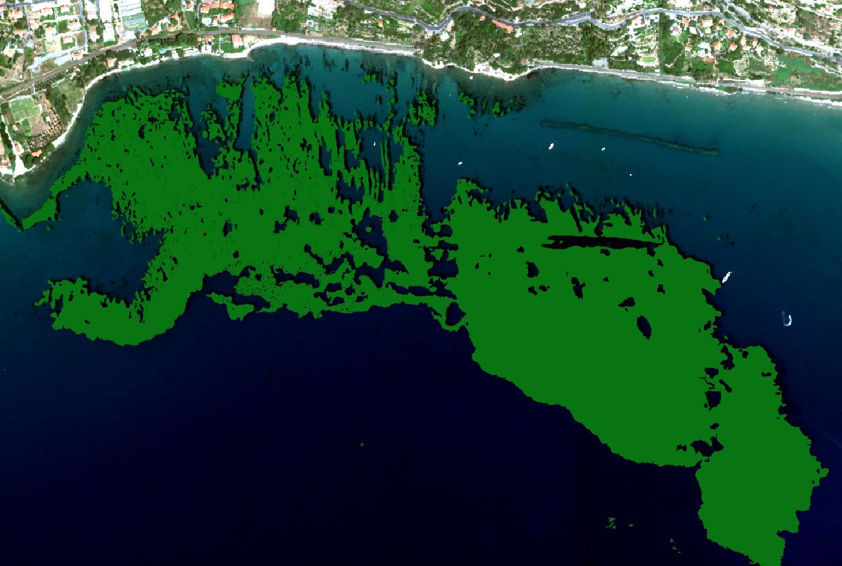 Seagrass habitat in Liguria (Italy) seen from space - seafloor classification (SFC) by EOMAP