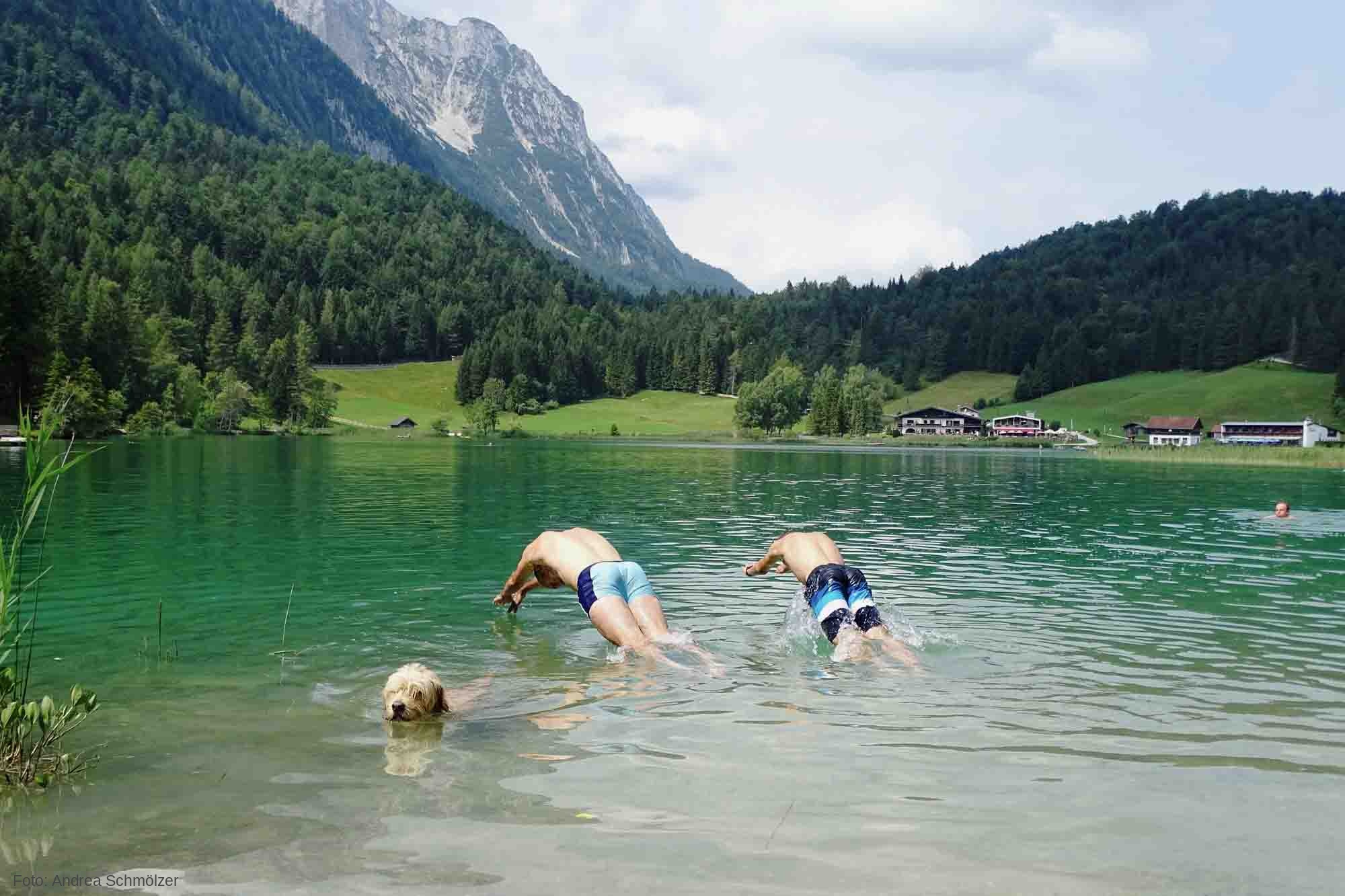 DSC06954_b_credit Father and son dive into an alpine lake, a dog is nearby - Vater und Sohn hechten in einen Alpensee - Badegestellen via Satellit überwachen (c/ A. Schmoelzer)