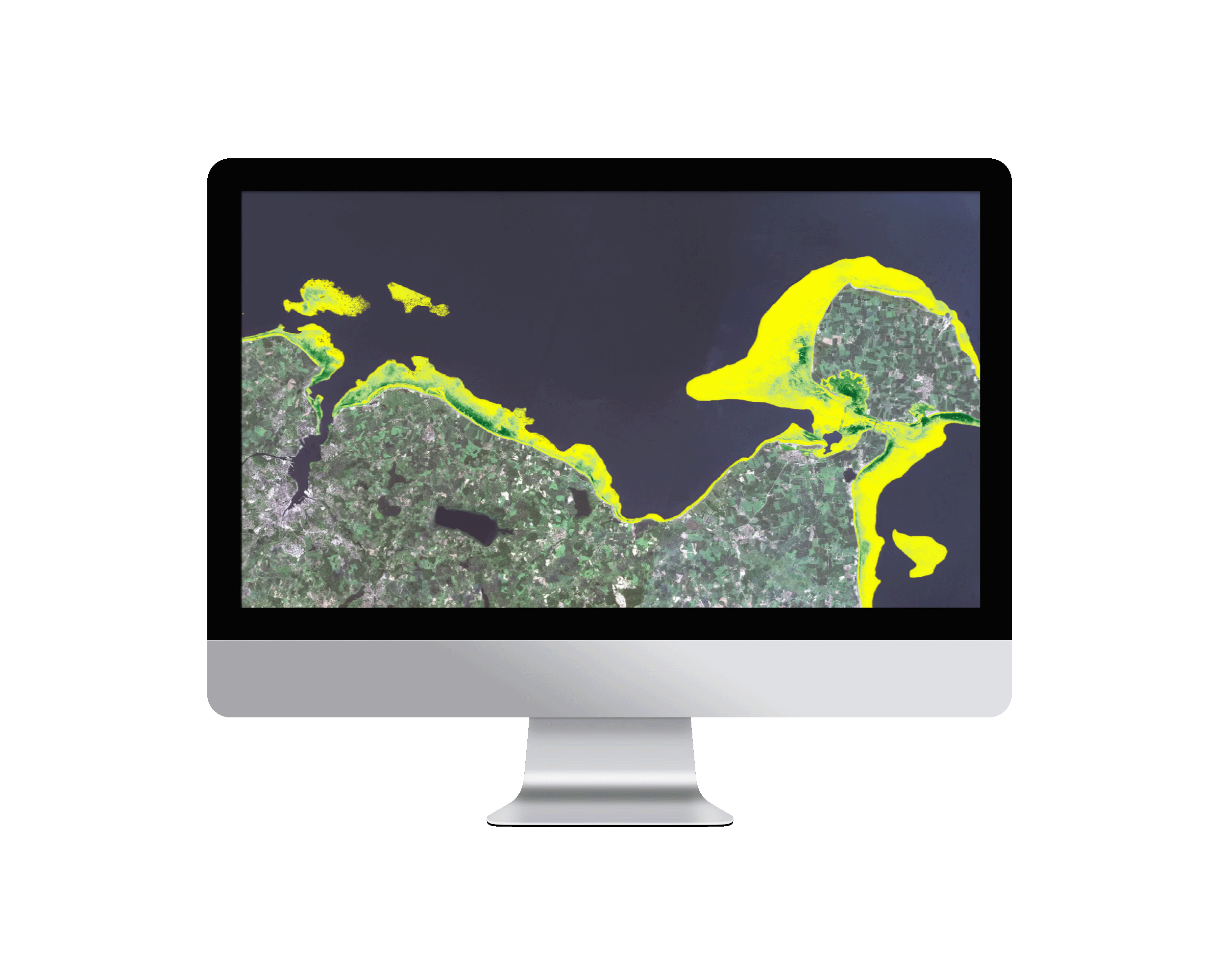 Seagrass Mapping Baltic Sea Mockup