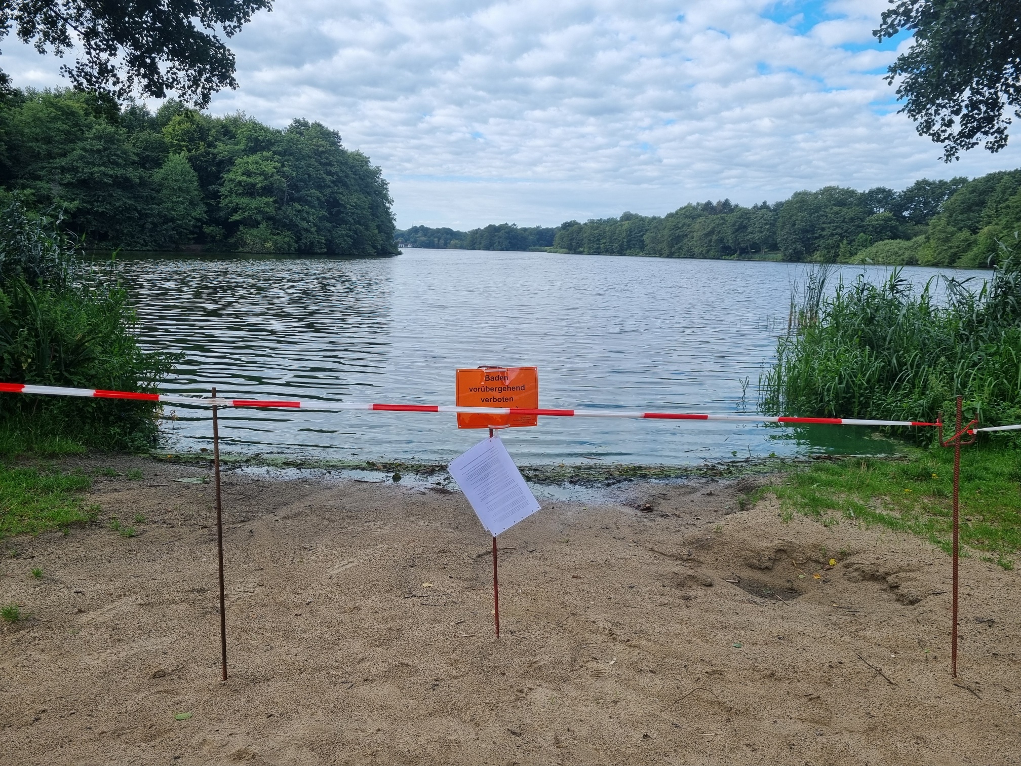 20240810 algae bloom Luetjensee Resized Badeverbot - Cyanobakterien Badesee in Deutschland