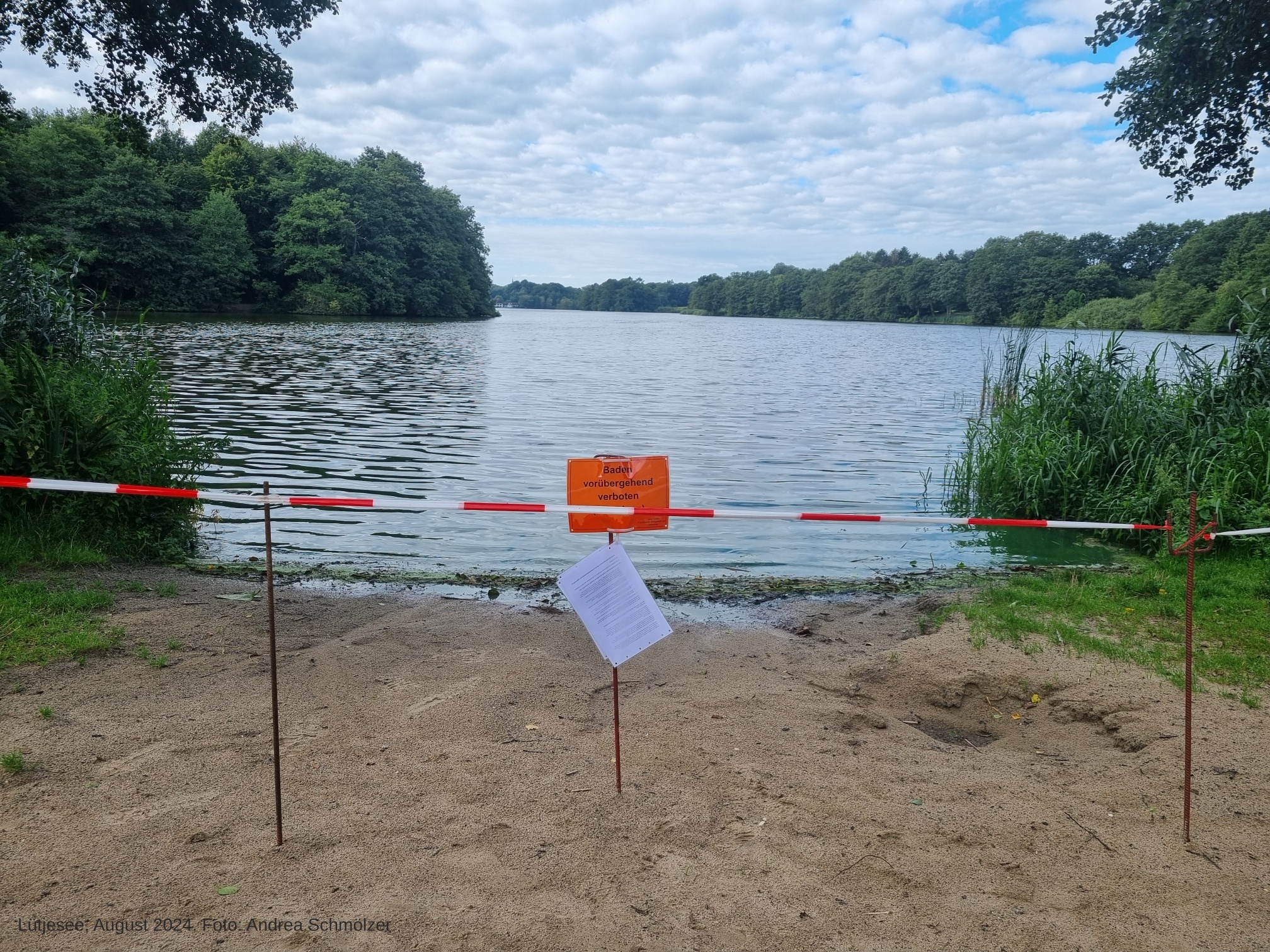 Luetjesee Algenblüte August 2024